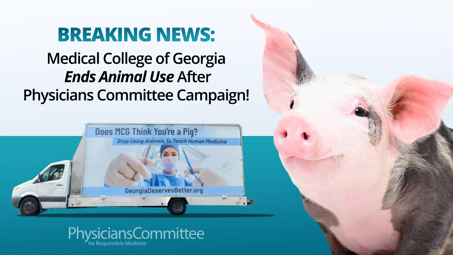 Following Physicians’ Campaign, Medical College of Georgia Halts Animal Use for Surgery Training