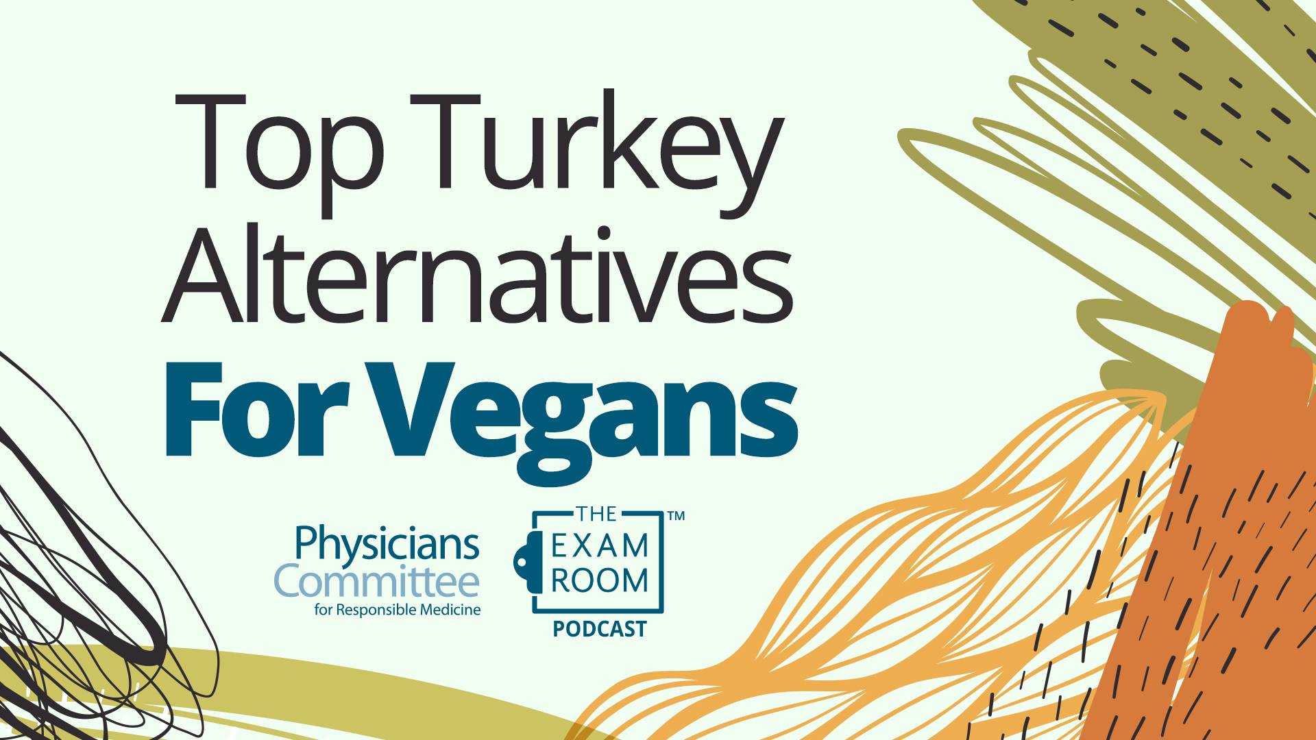 Top Turkey Alternatives