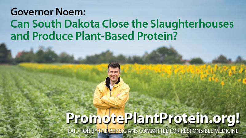 Doctors Urge South Dakota Governor to Promote Plant Protein