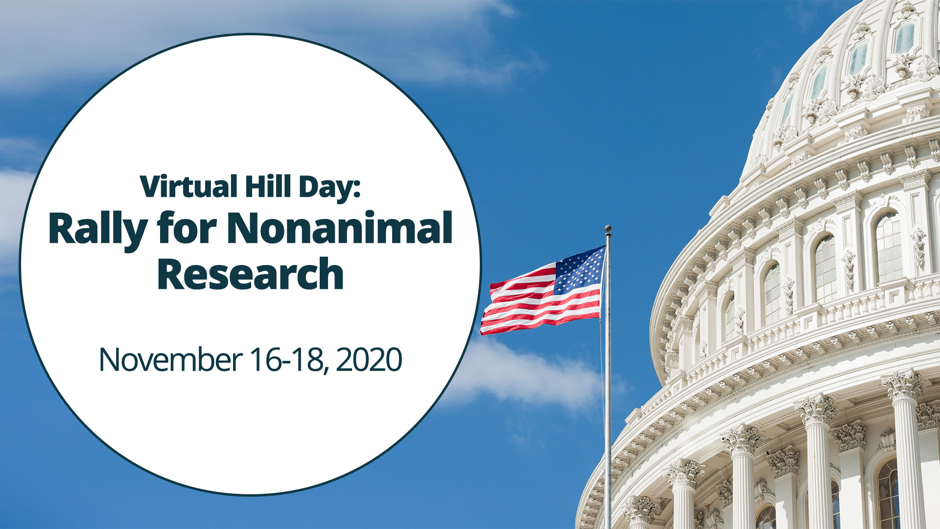 Virtual Hill Day