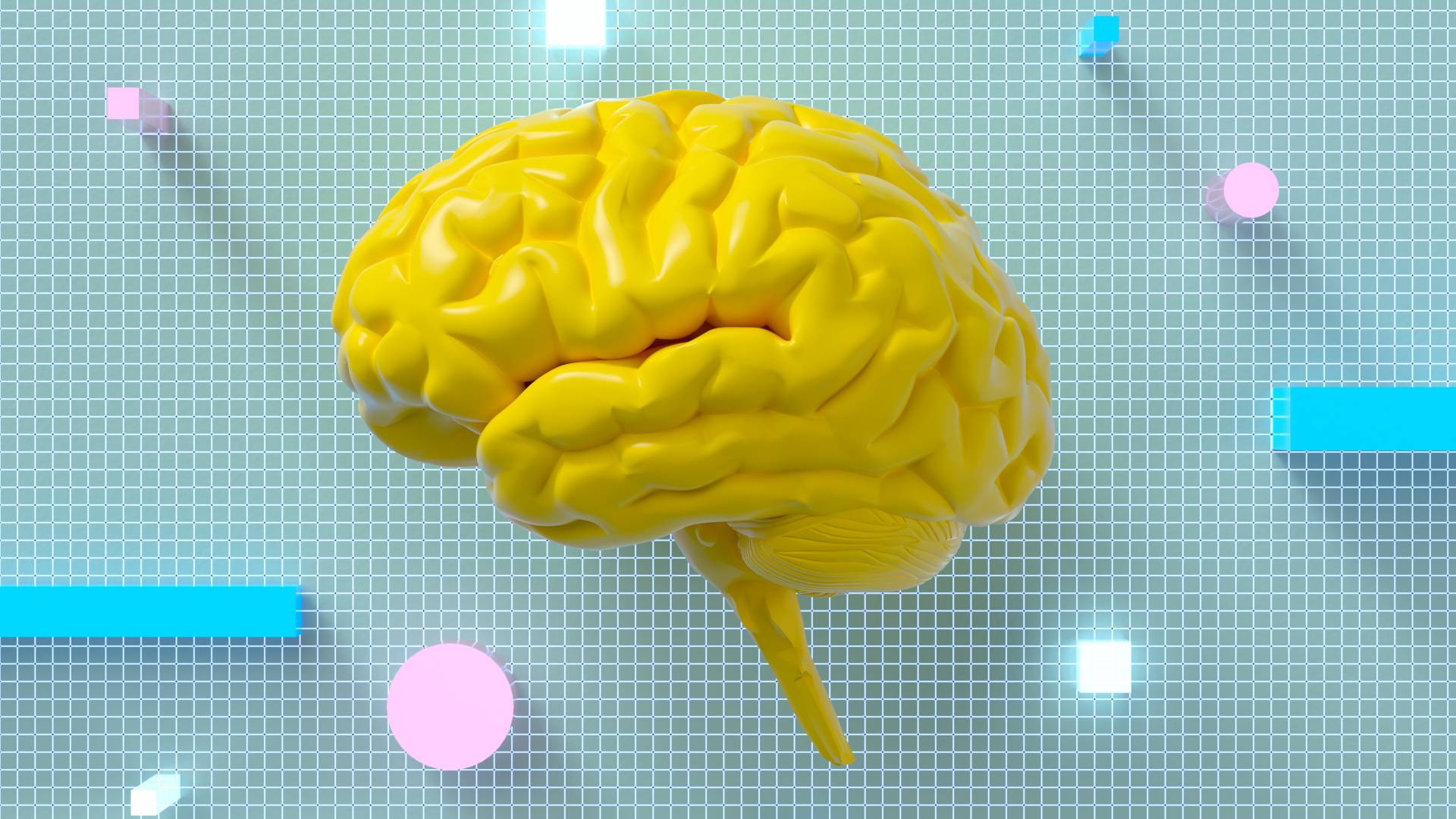 yellow brain model