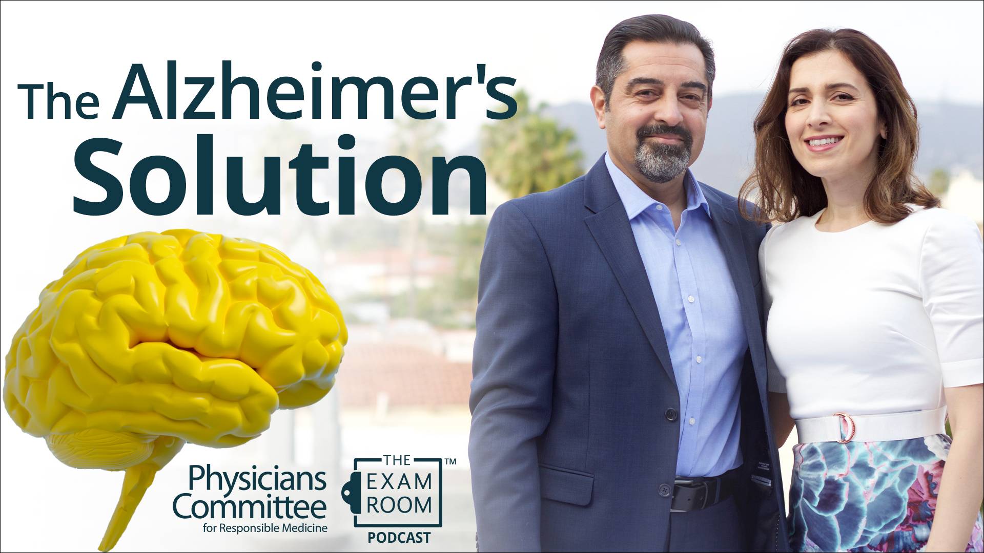 Best and Worst Foods for Alzheimer’s Disease | Drs. Dean and Ayesha Sherzai