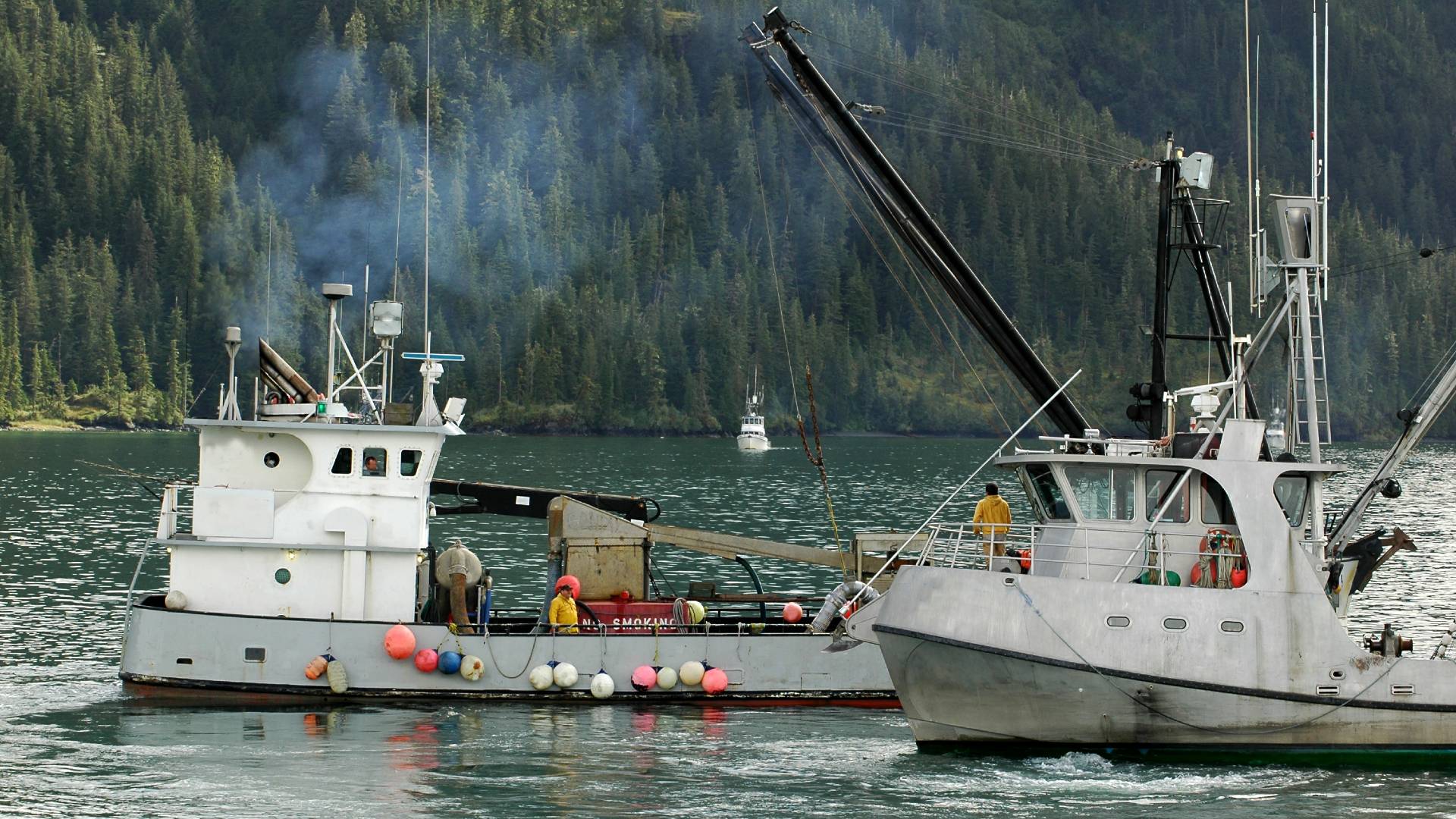 fish trawlers pollution