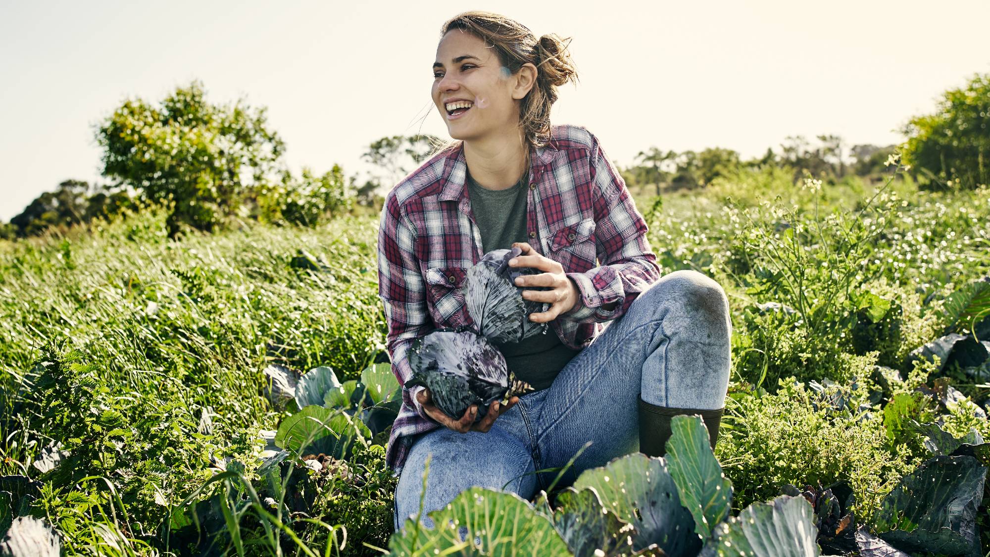 cabbage farmer