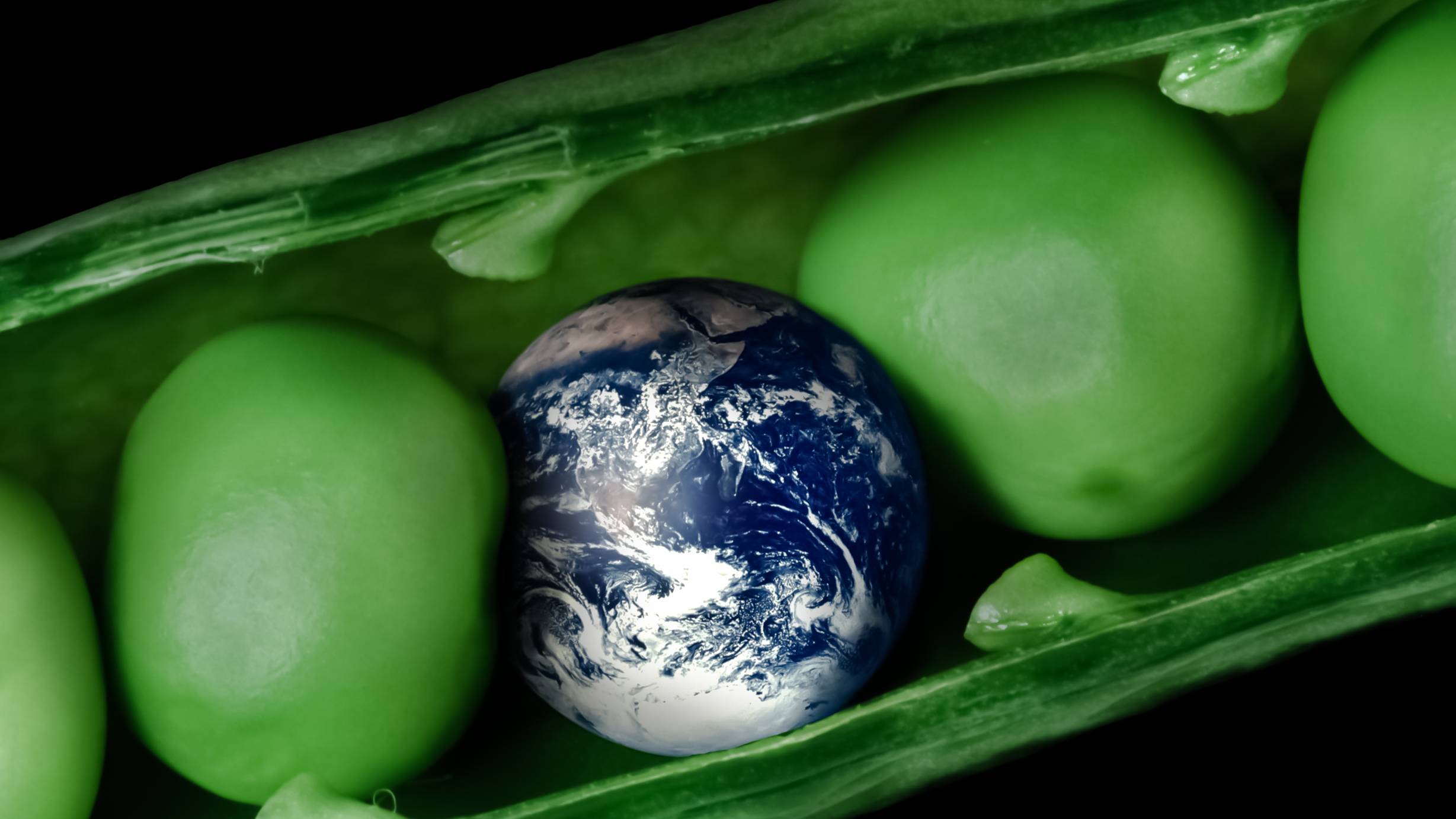 earth in a pea pod