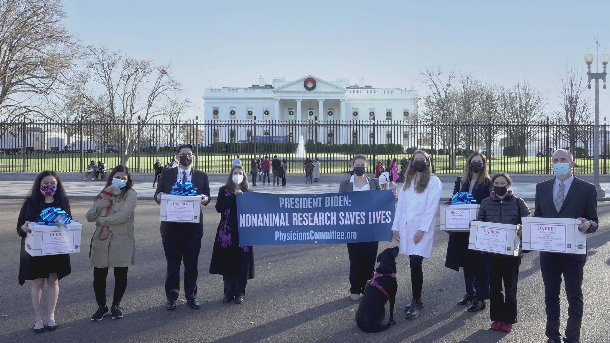 Scientists Urge Biden to Appoint New NIH Director Who Recognizes Futility of Animal Experiments