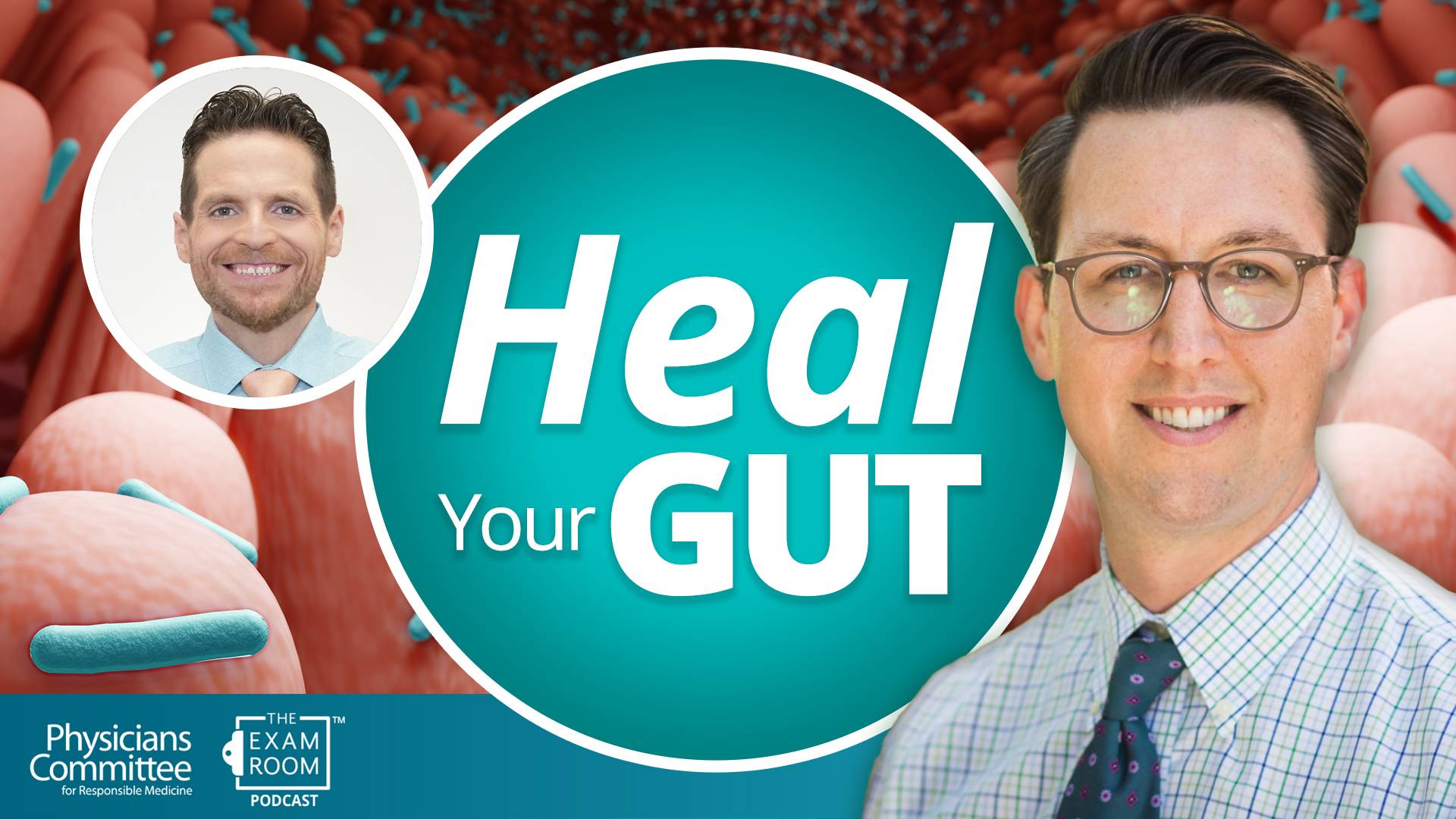 Foods That Heal the Gut | Dr. Will Bulsiewicz Live Q&A