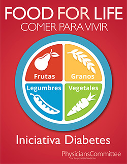 Food for Life spanish diabetes initiative