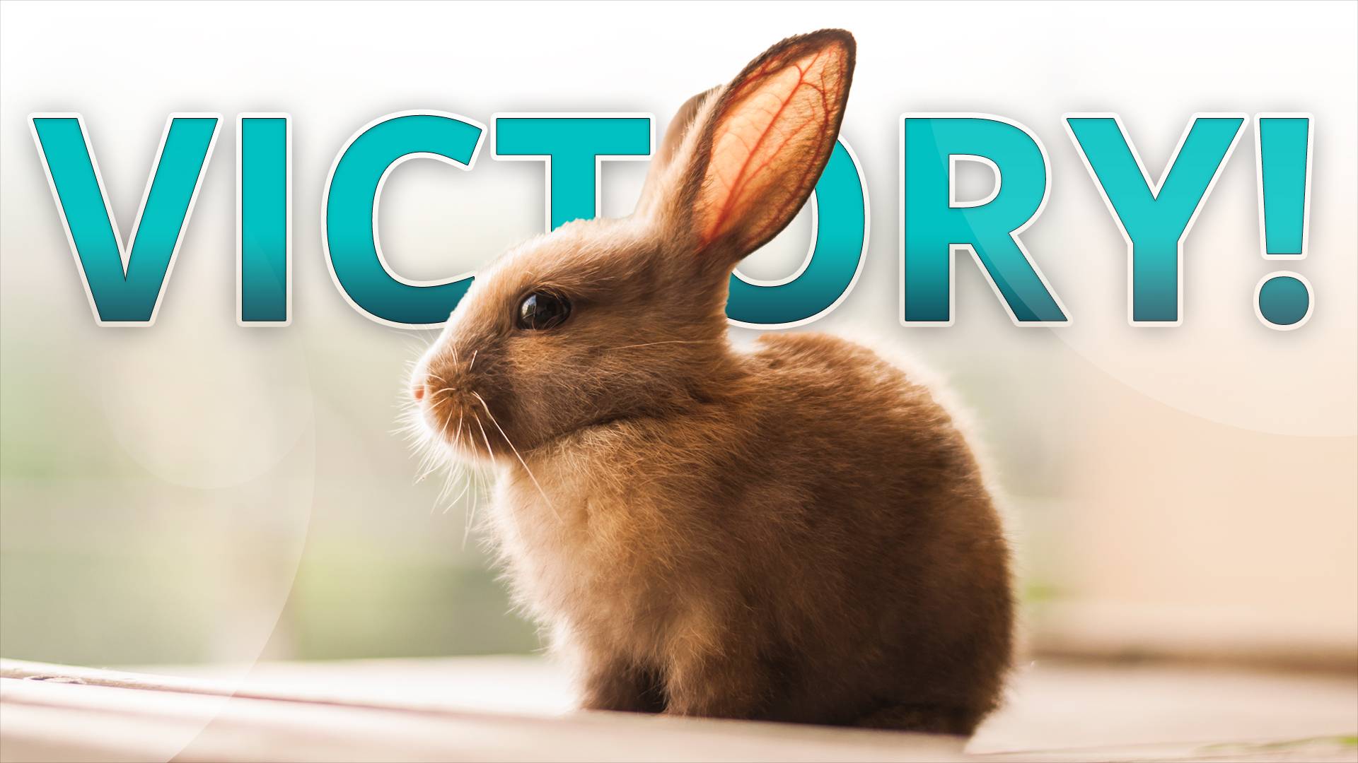 Victory for Animals: . Senate Drops Harmful Cosmetics Provision