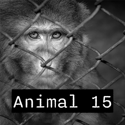 Animal 15