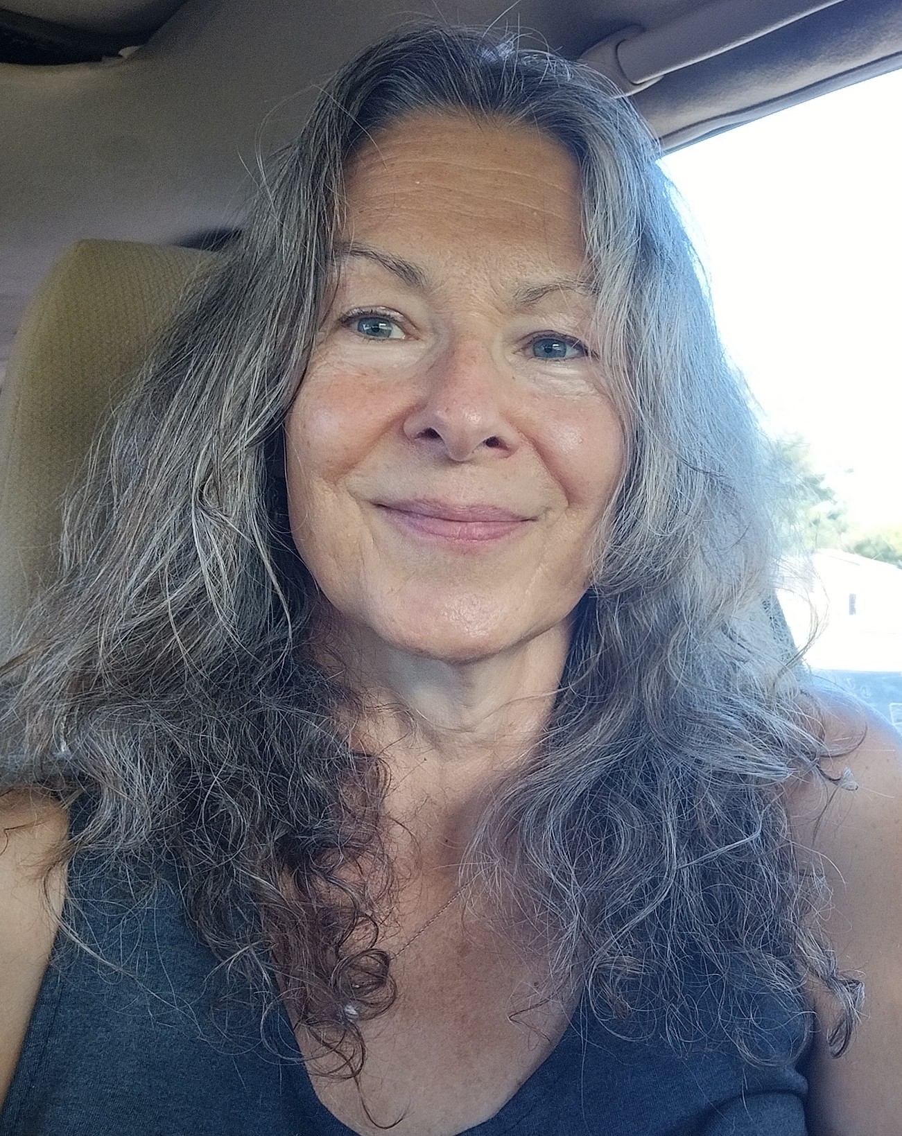 Susan Schneider, NBC-HWC
