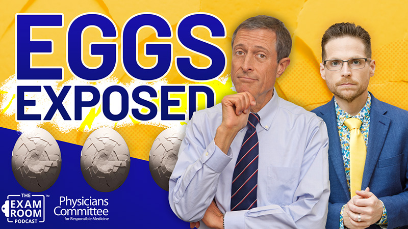 Eggs Exposed: Serious Health Concerns Ignored | Dr. Neal Barnard Live Q&A