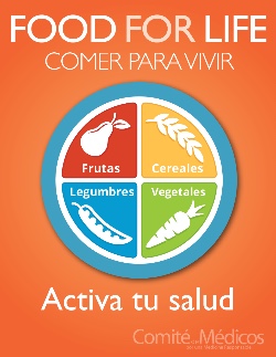 El Plato para Comer Saludable (Spanish), The Nutrition Source