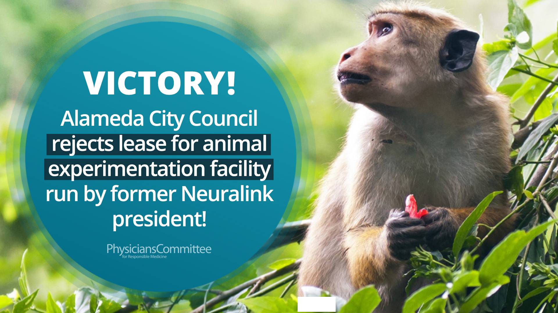 Alameda City Council Victory