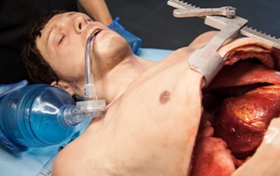 Thoracotomy Half Body Task Trainer