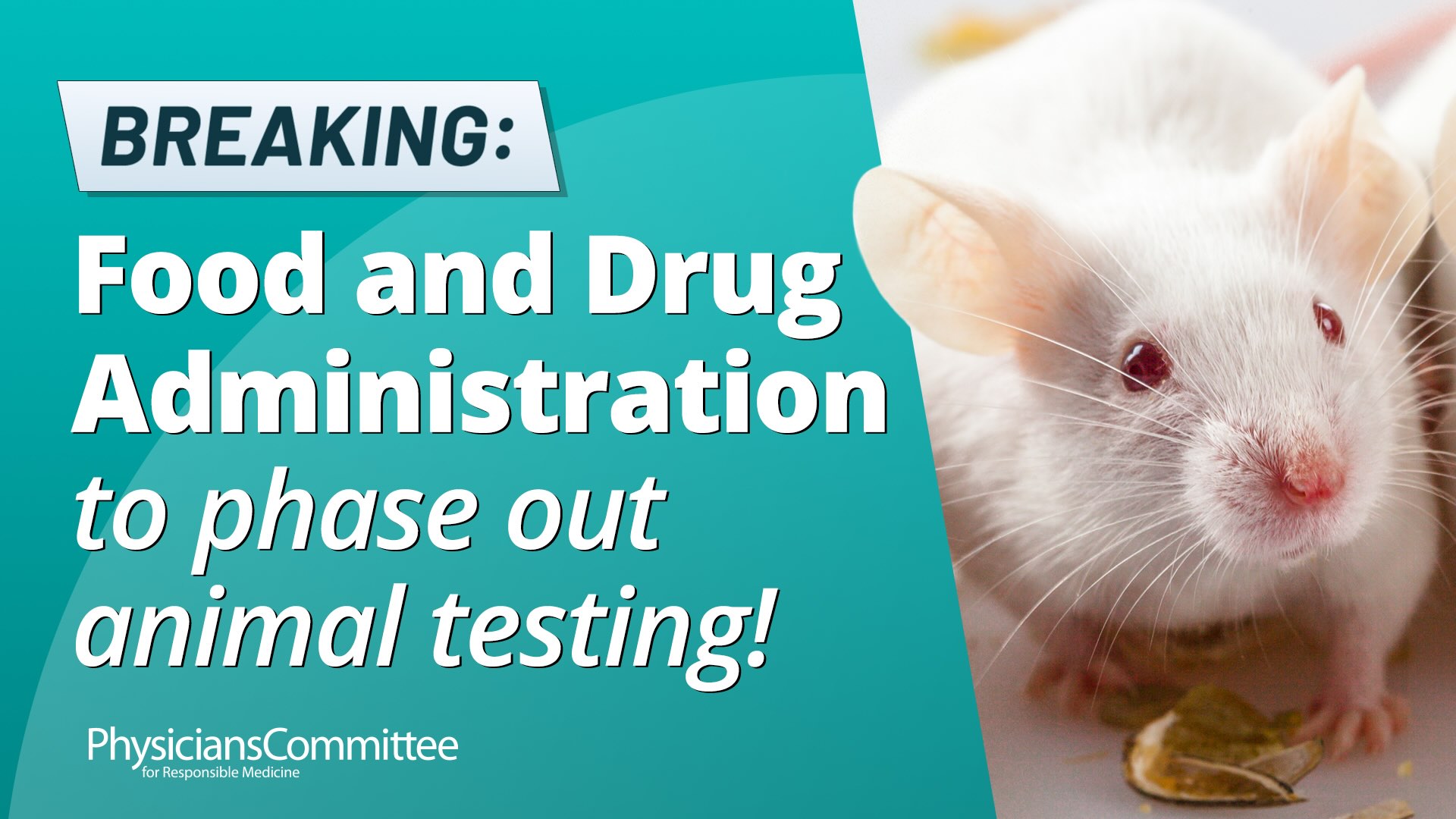 U.S. Food and Drug Administration announced a plan to end the use of animals to test monoclonal antibody therapies and other drugs