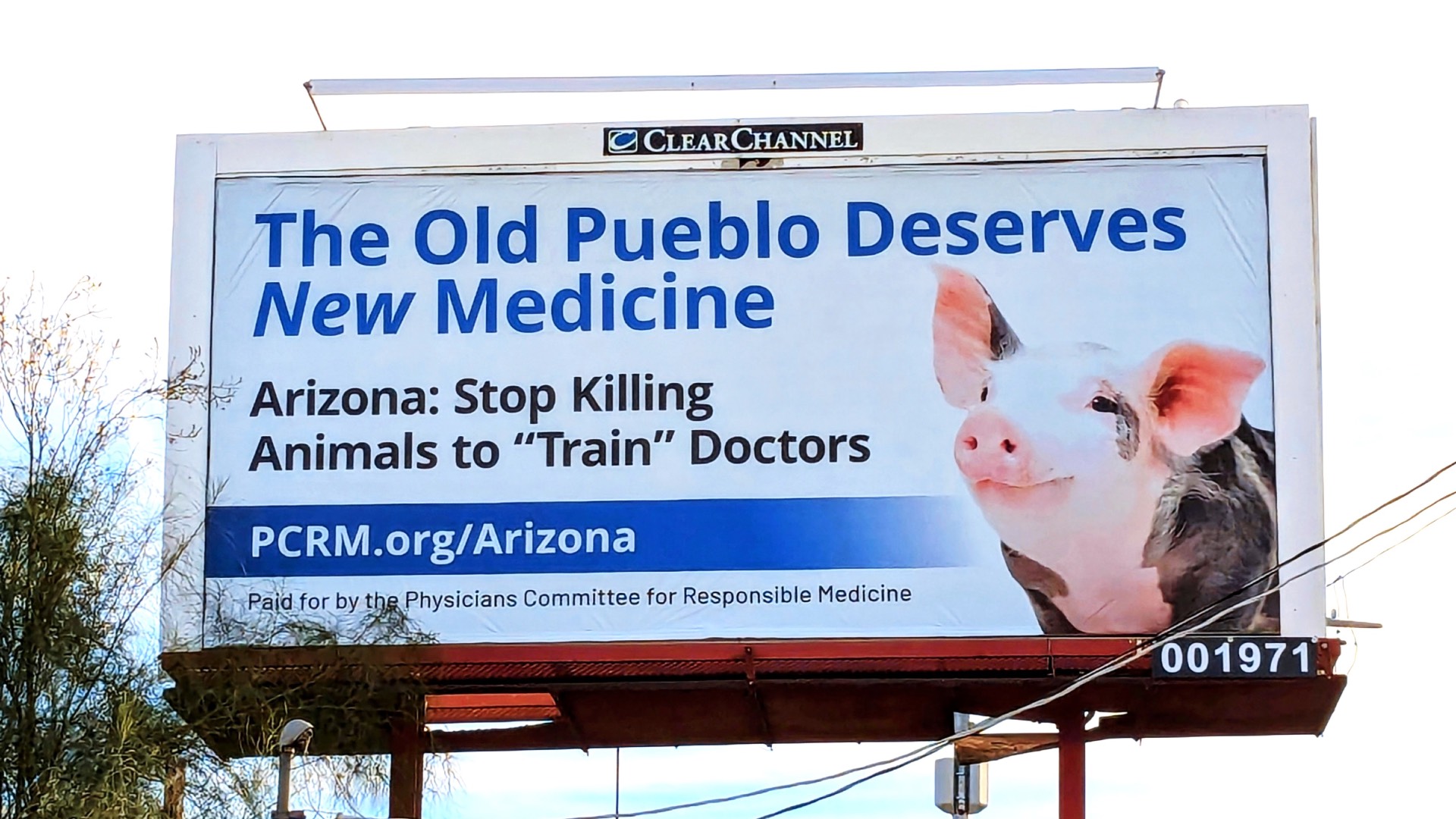 University of Arizona Billboards, 2024