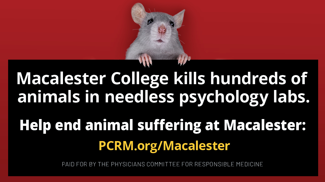 Macalester College Billboard