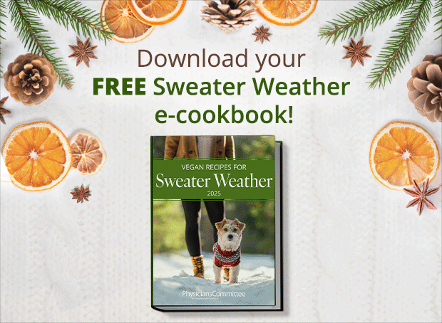 Sweater Weather E-Cookbook