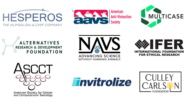 summer immersion sponsors