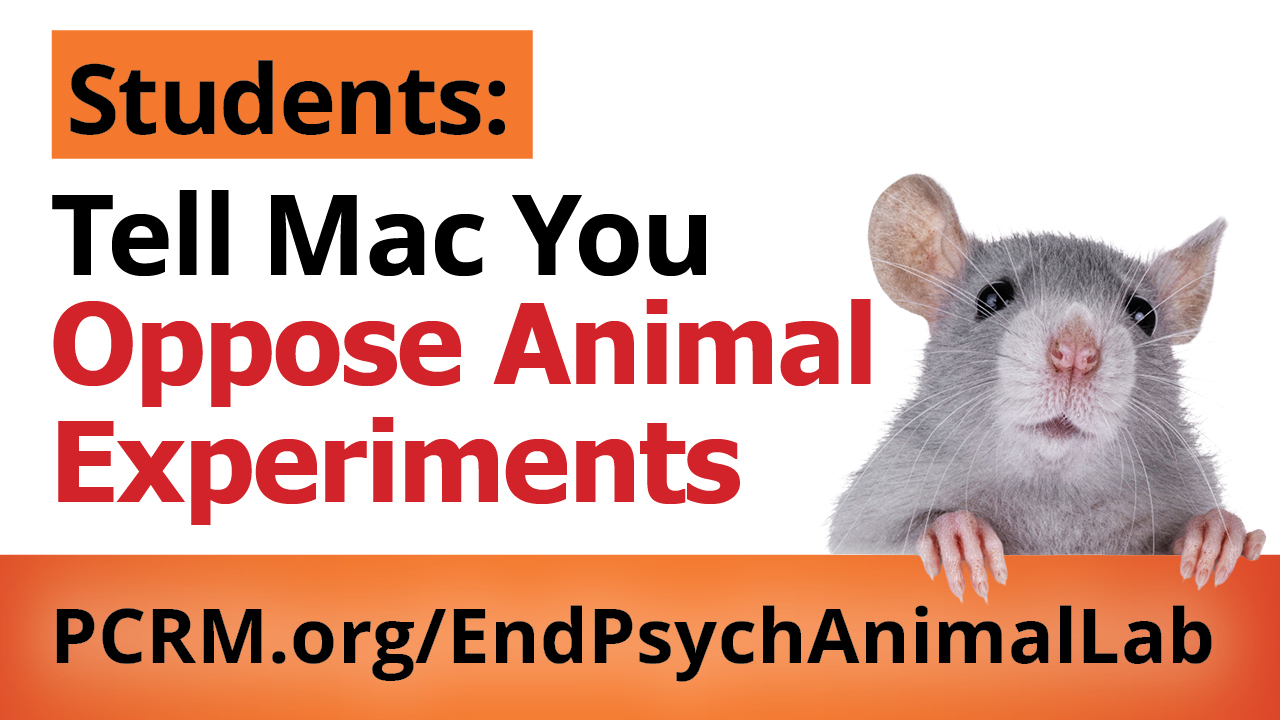 “Mac: Get Cruelty Out of Psych Classes,” Urge Mobile Billboards Circling Macalester’s Commencement on May 16
