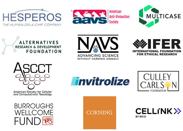 summer immersion sponsors
