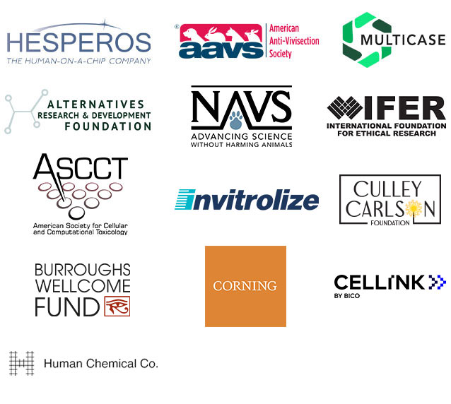 summer immersion sponsors