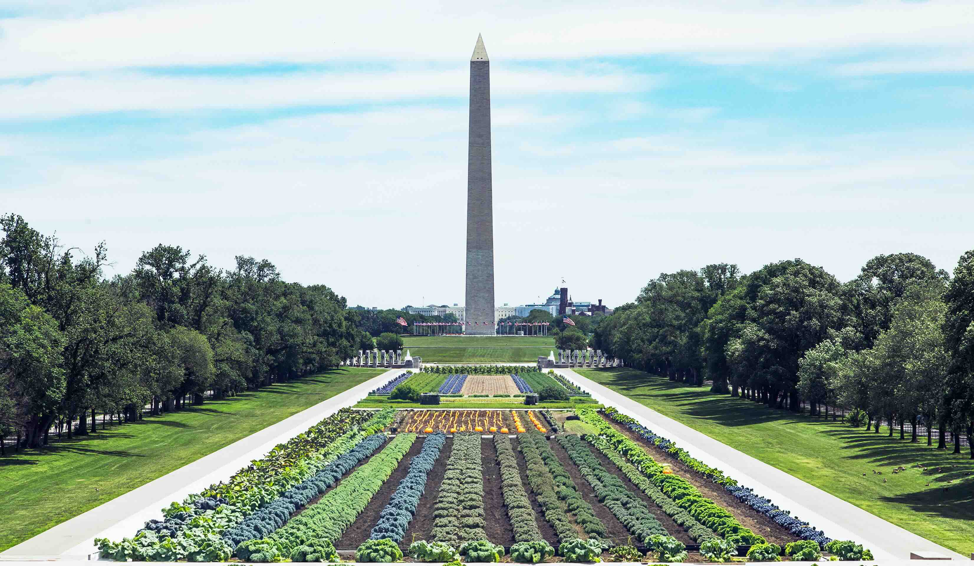 reflecting pool garden
