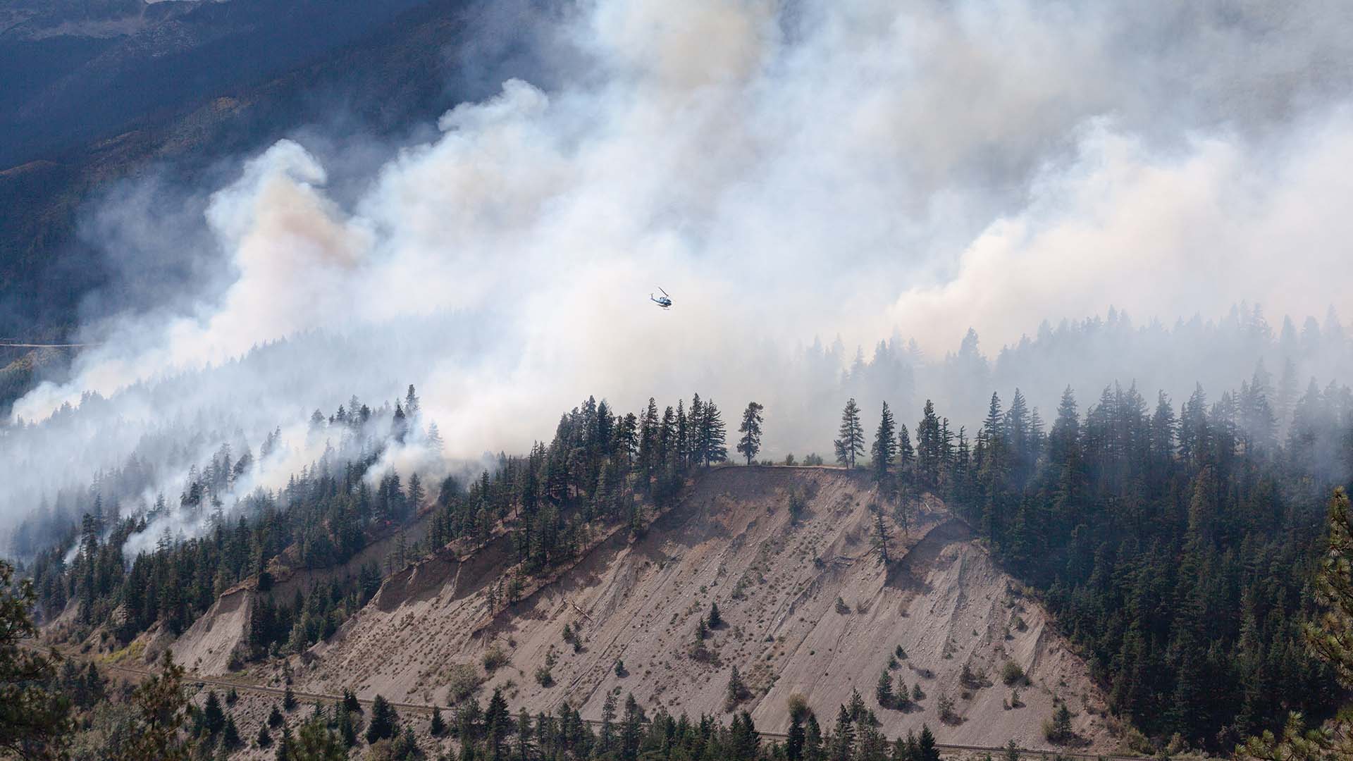 The Smoke Over Washington Started on a Dinner Plate