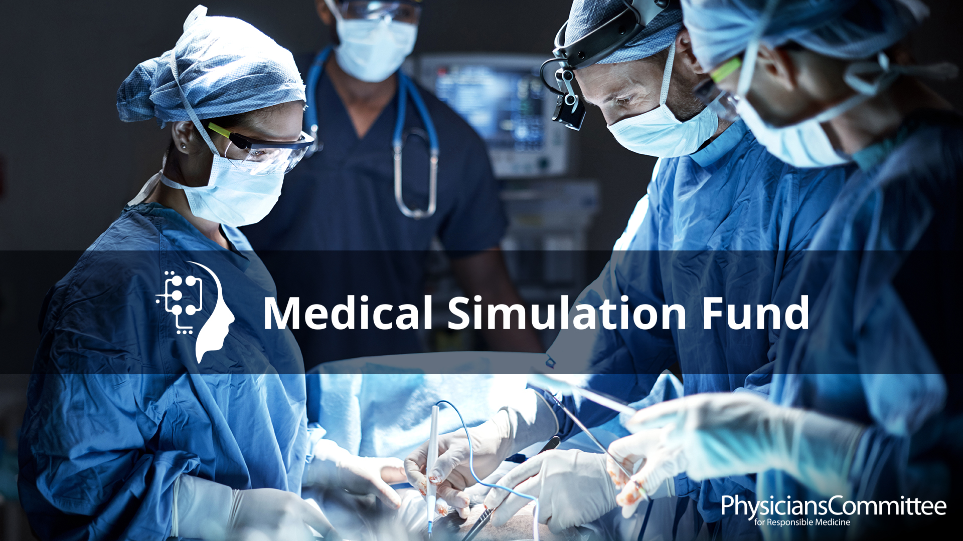 Medical Simulation Fund