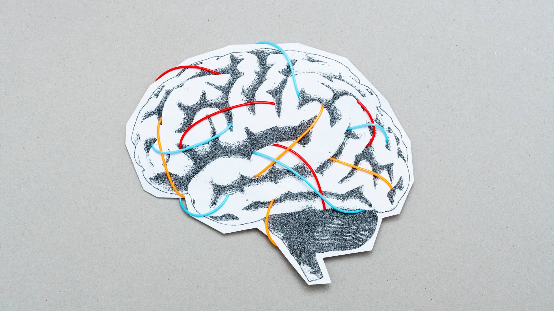 brain illustration