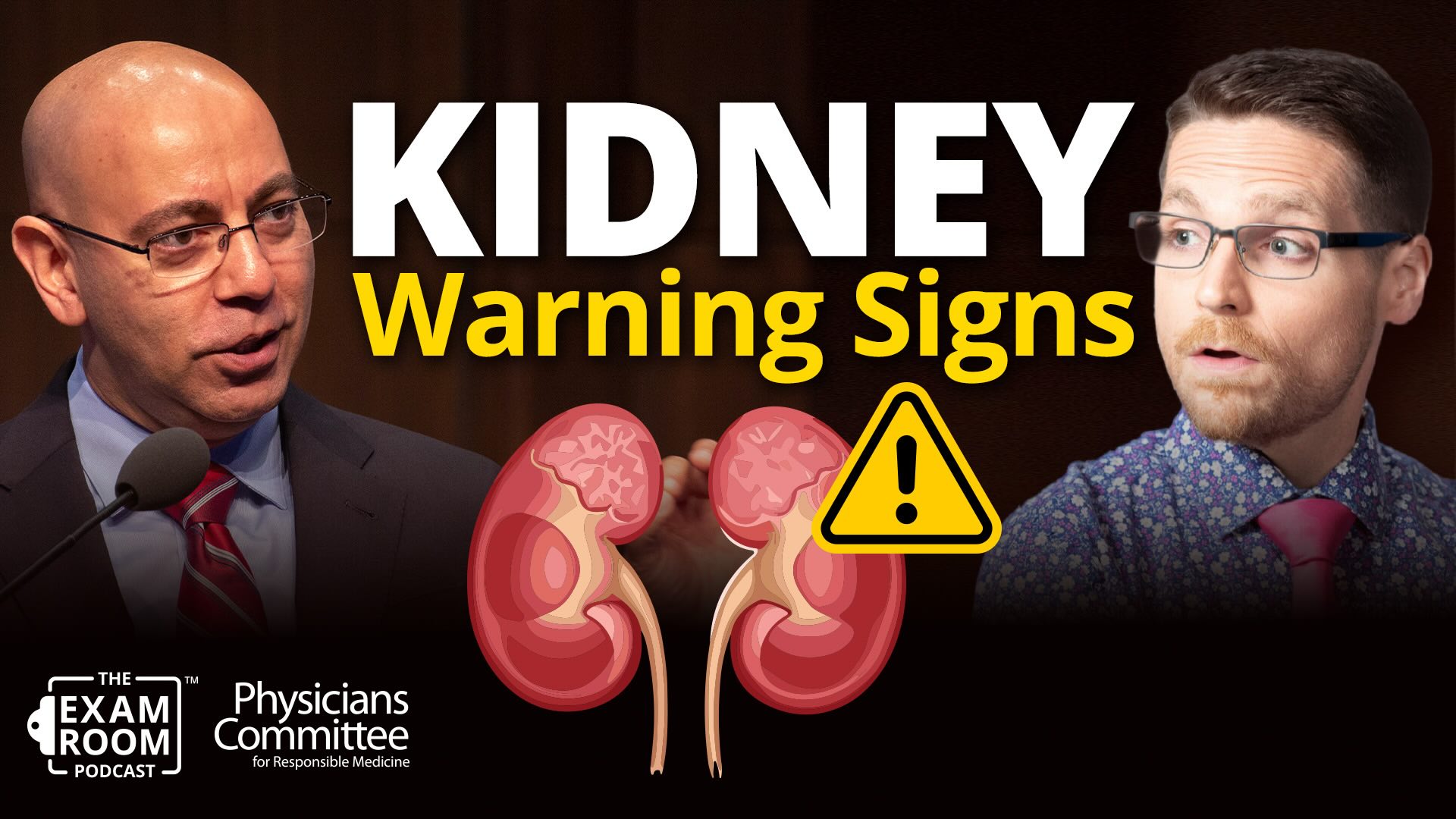 Kidney Disease: Silent Signals and Best Foods | Dr. Sean Hashmi