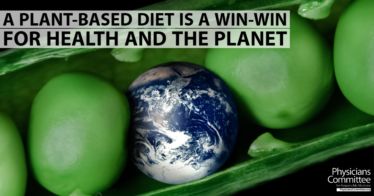 how plant-based diets help the planet