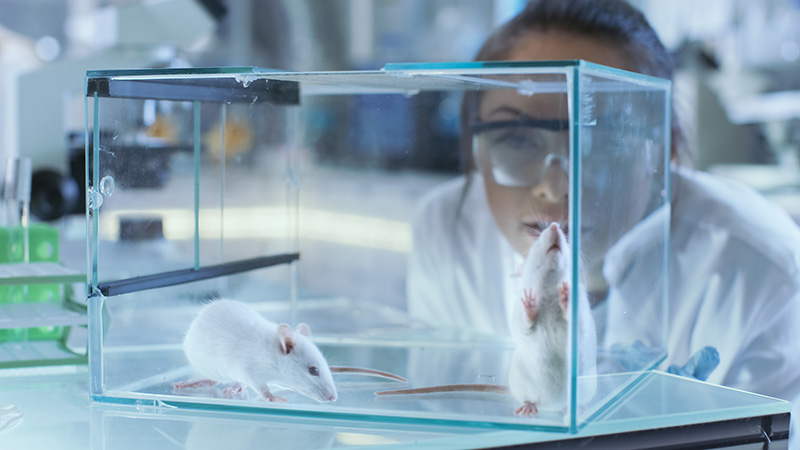 Animals in Medical Research
