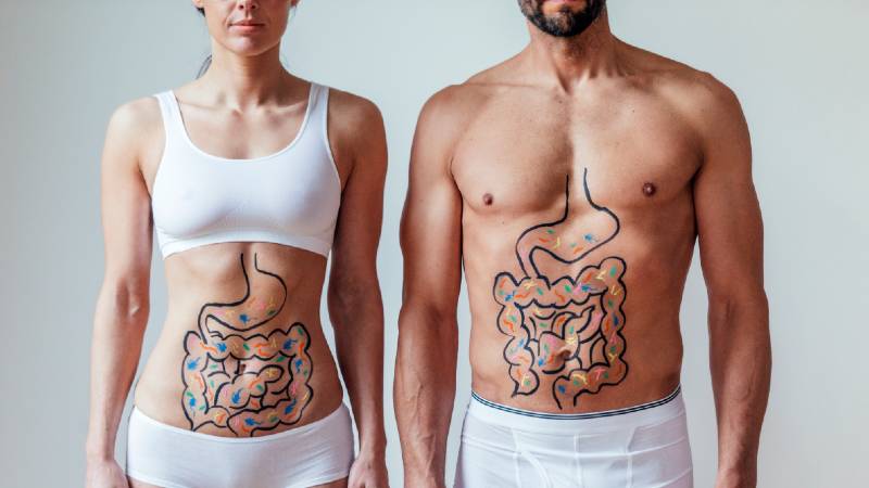 healthy gut bacteria