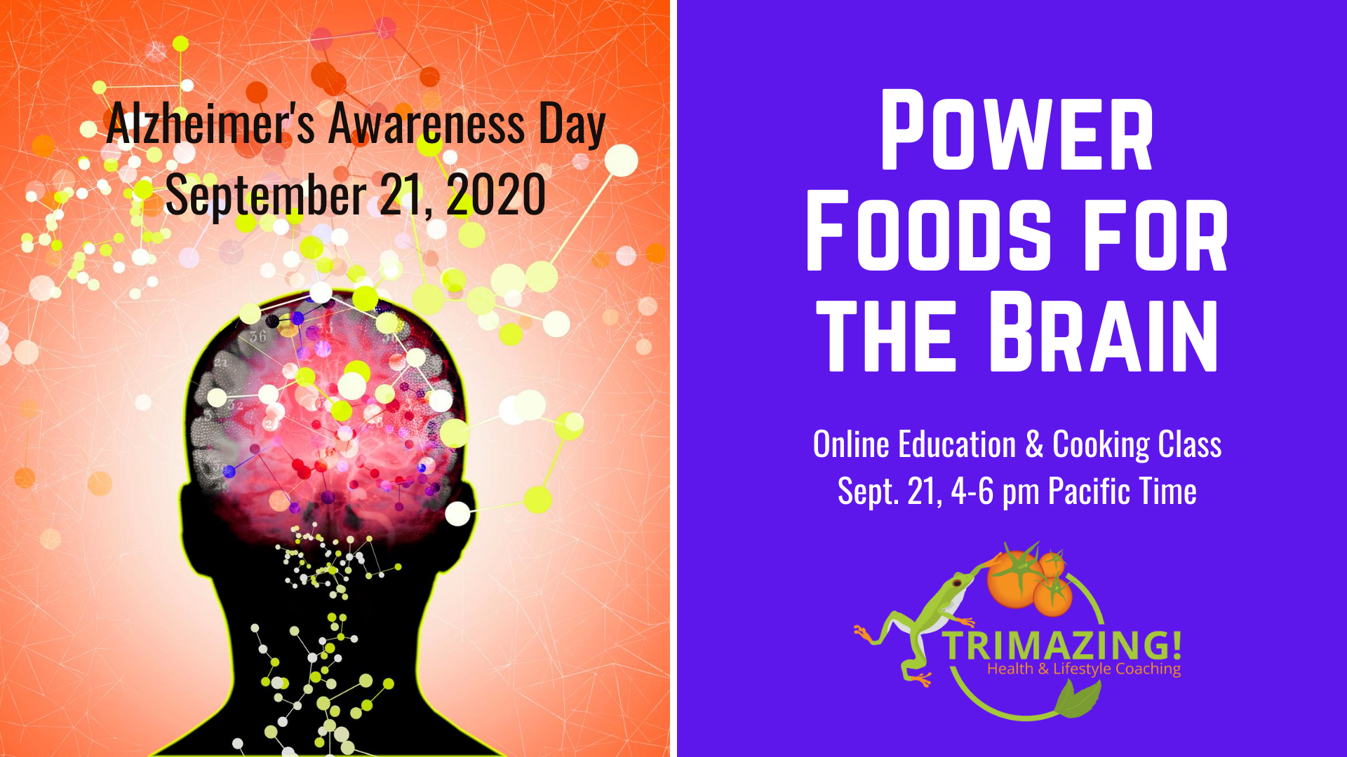 Trimazing.com Power Foods for the Brain