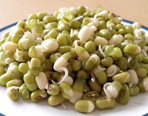 Mung Bean Sprouts, How to Sprout Mung Beans