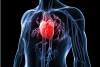 heart-disease-research